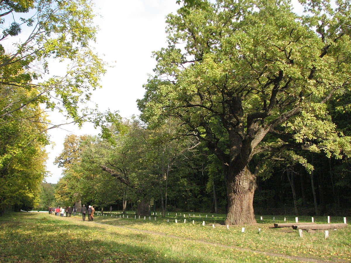 Садиба Гоголя, піраміди та Тріумфальна арка: що подивитися і де відпочити у Полтавській області 5