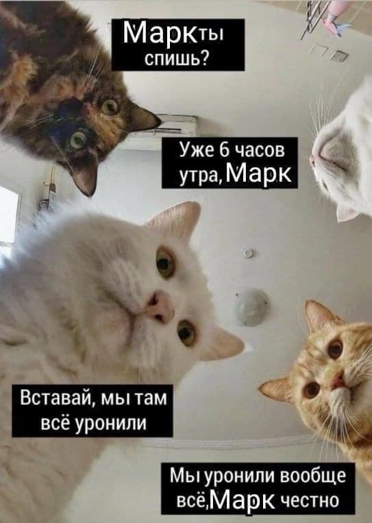Сбой Сбой