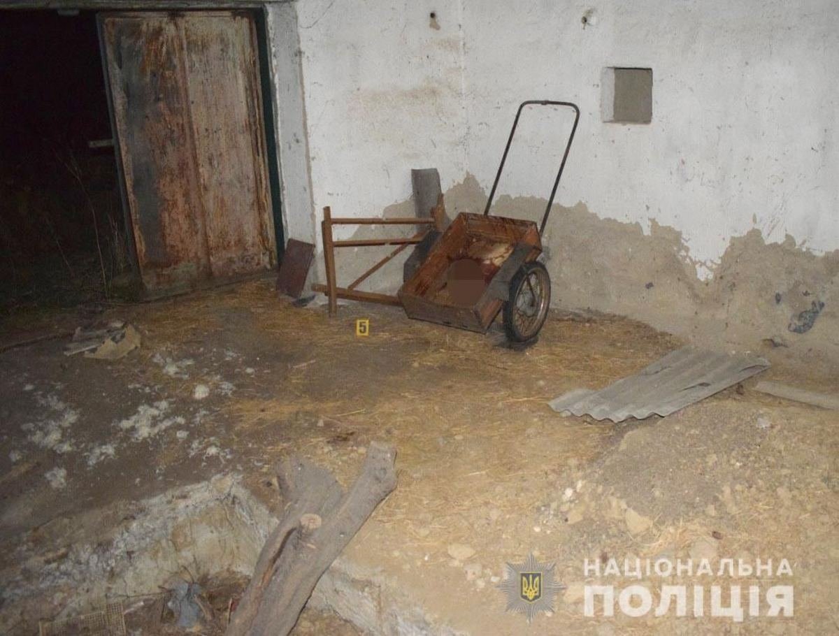 В Винницкой области 16-летняя девочка зарезала свою маму и сбросила тело в колодец 4