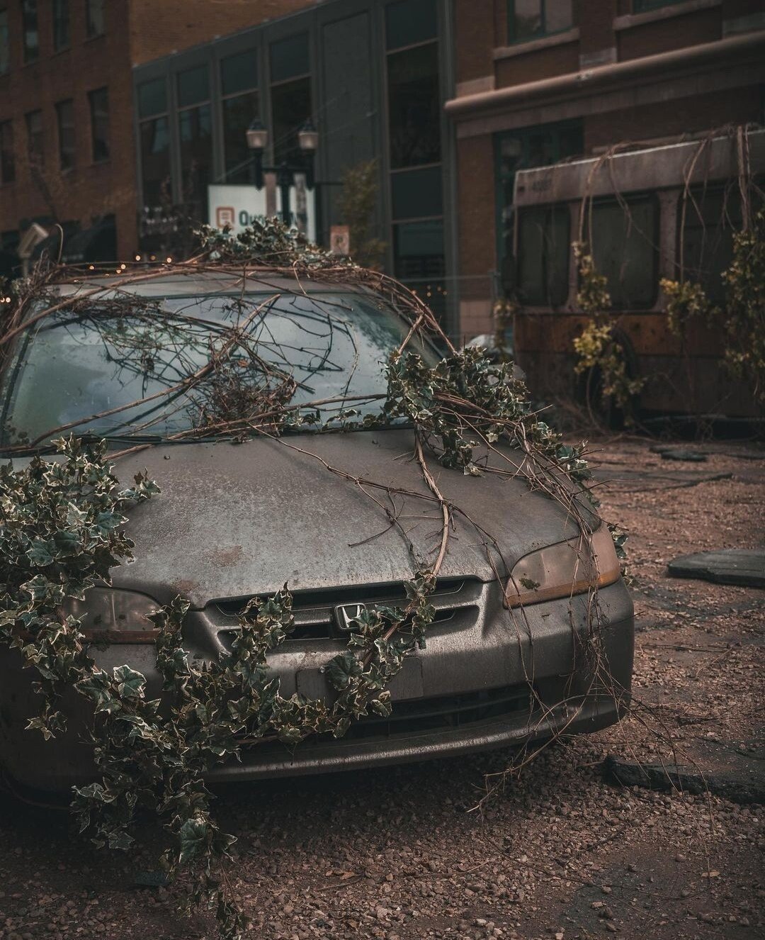 Появились новые фотографии со съёмок сериала по The Last of Us: Педро Паскаль в образе Джоэла попал в кадр 4