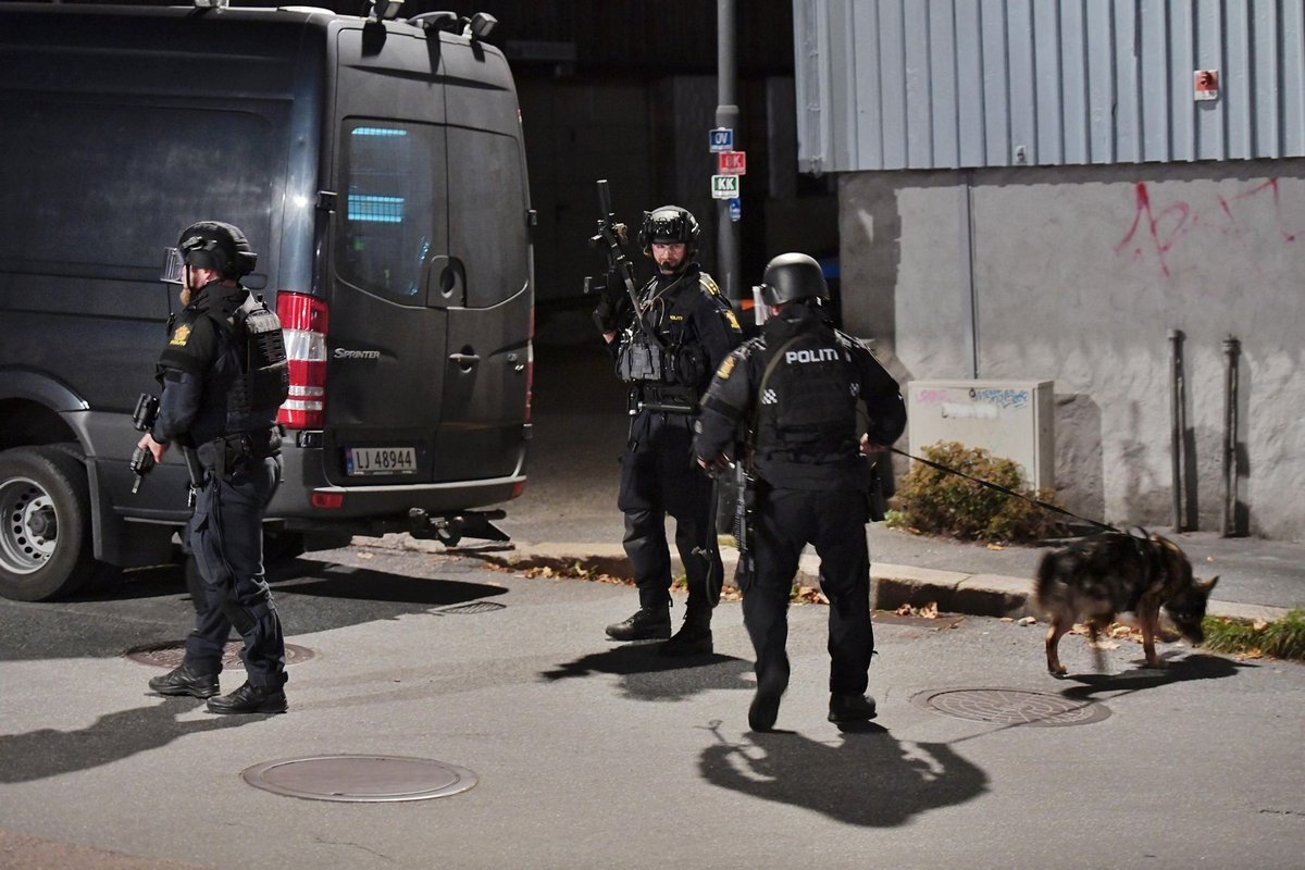 Фото: Reidar Folkedal Фото: Reidar Folkedal