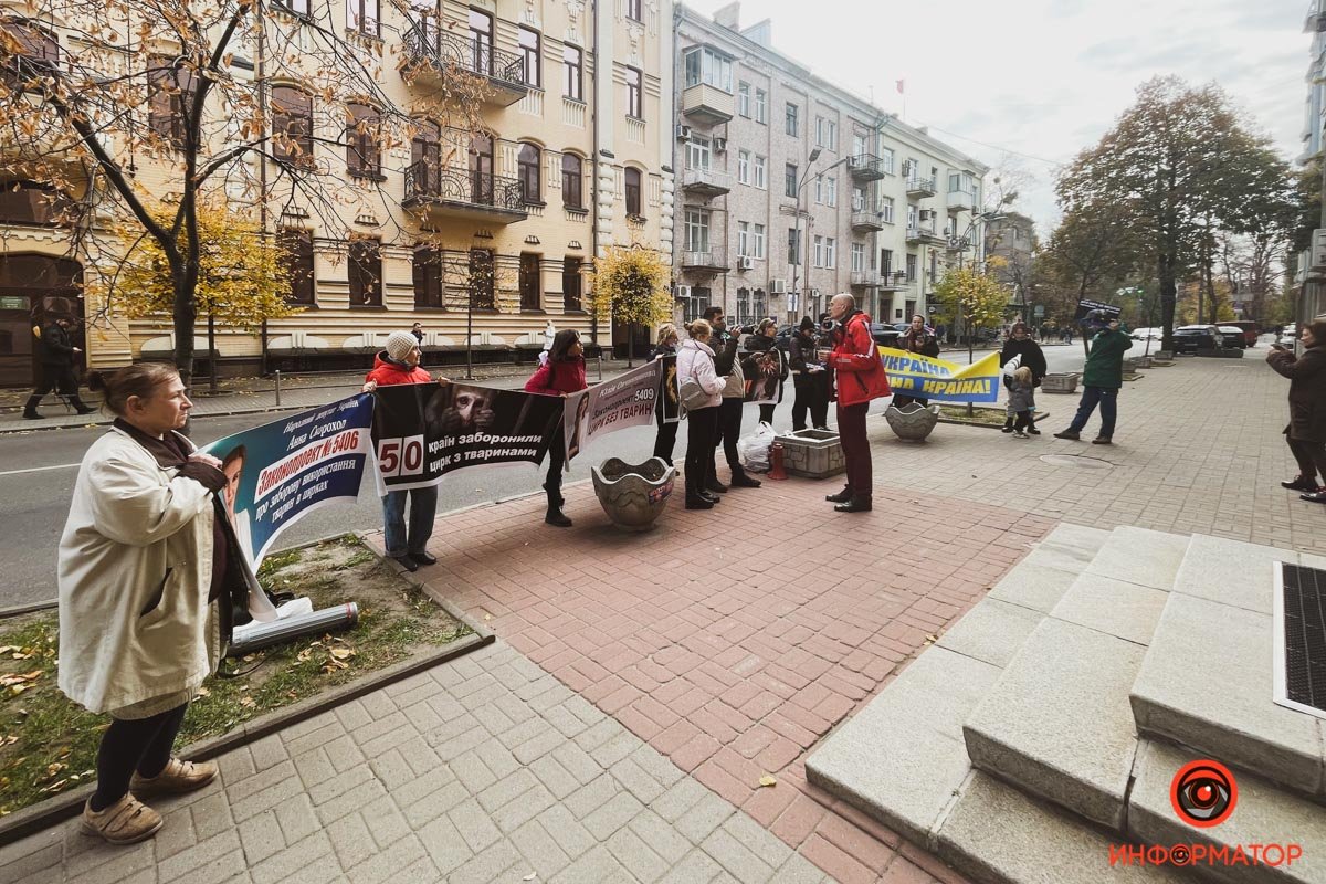 У Києві зоозахисники вийшли під ВР, вимагаючи припинити знущання над тваринами в цирках 4