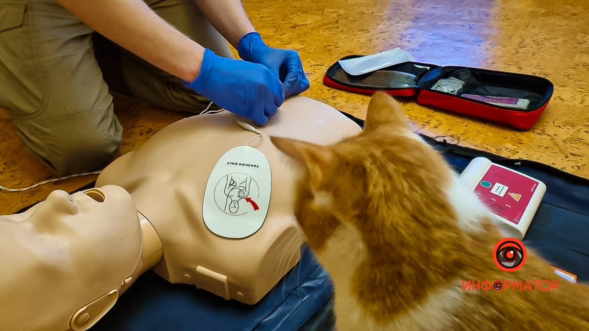 Что работает на экране, но вредит в жизни: мифы о дефибрилляторах 4