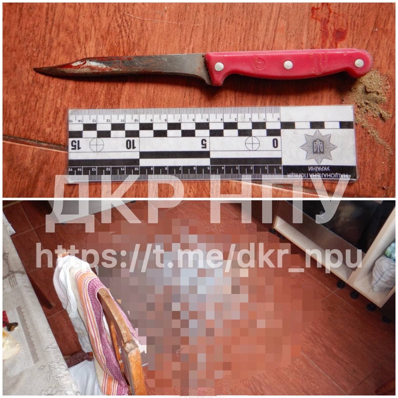 На Одещині чоловік зарізав цивільну дружину і намагався накласти на себе руки 1