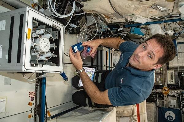 В NASA показали, как живут космонавты на МКС 12