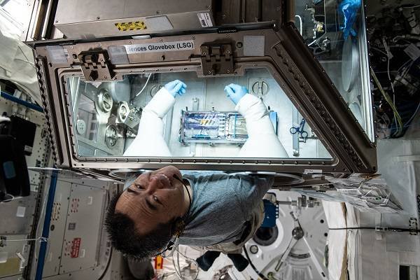 В NASA показали, как живут космонавты на МКС 14