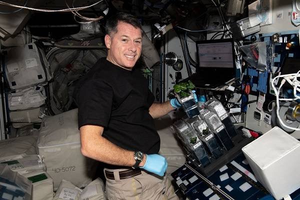 В NASA показали, как живут космонавты на МКС 16