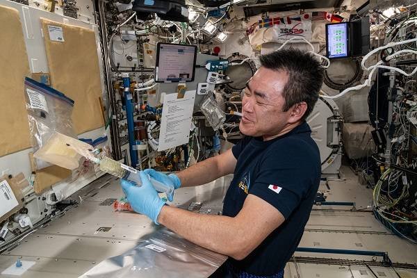 В NASA показали, как живут космонавты на МКС 17