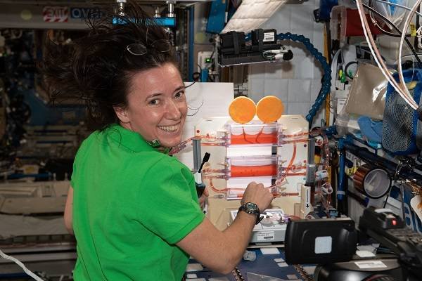 В NASA показали, как живут космонавты на МКС 18