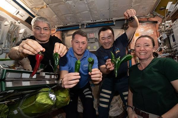 В NASA показали, как живут космонавты на МКС 20