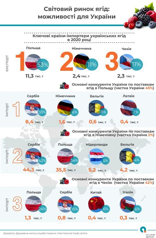 Украина вошла в пятерку крупнейших экспортёров ягод в мире 1