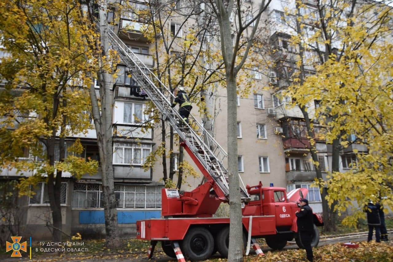В Одессе из многоэтажки, где горела квартира, эвакуировали 9 человек и спасли двух животных 3