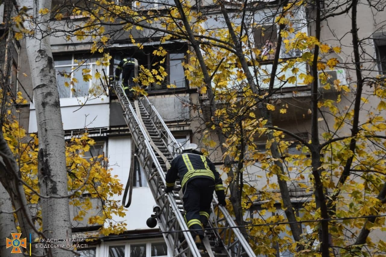 В Одессе из многоэтажки, где горела квартира, эвакуировали 9 человек и спасли двух животных 4