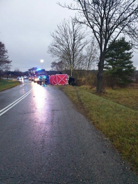 В Польше микроавтобус с украинцами вылетел в кювет и врезался в дерево: есть погибшие 3