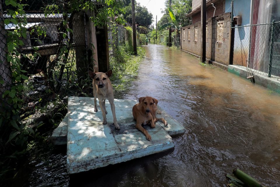 Сильные дожди на юге Индии и Шри-Ланке: количество погибших возросло до 41 человека 3