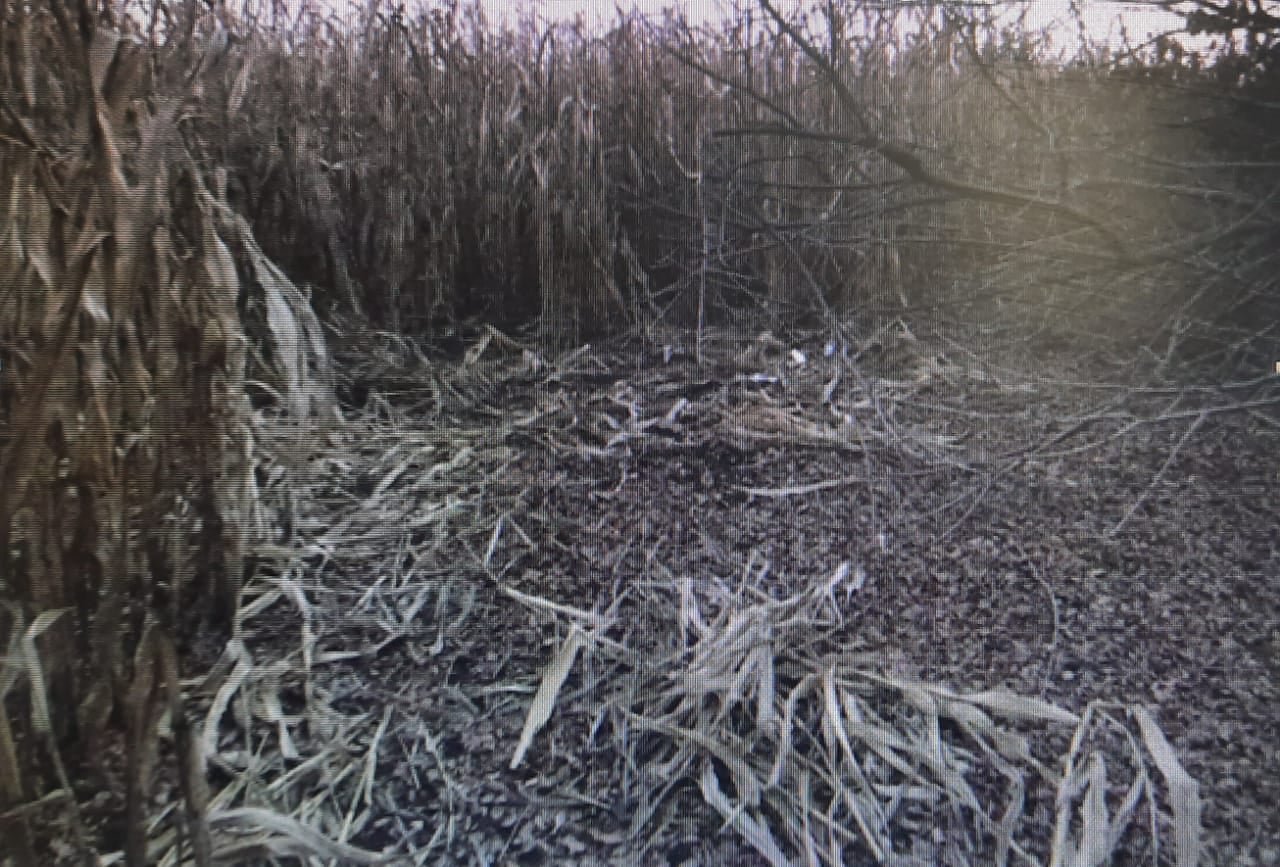 В Сумской области мужчина застрелил своего друга во время охоты 1