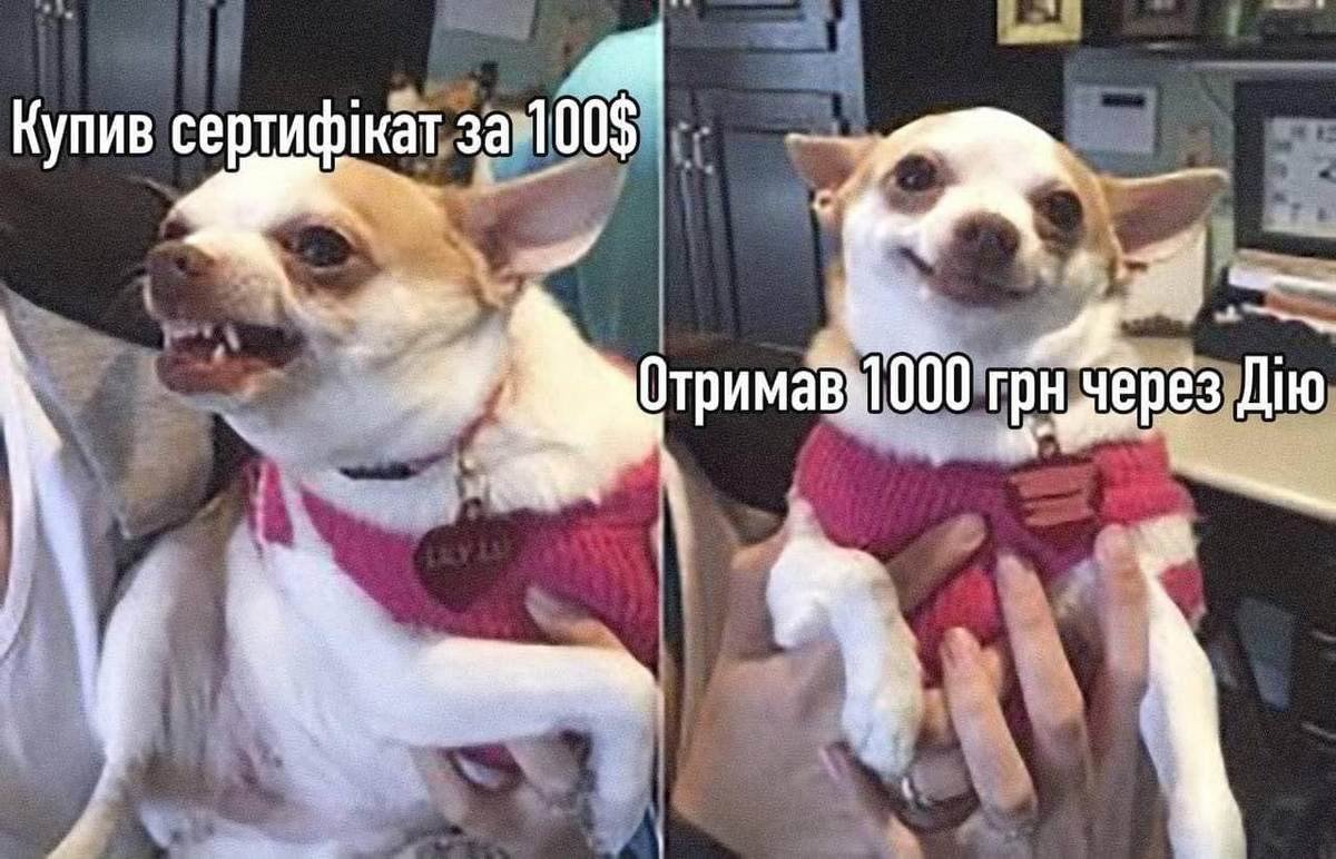 В Україні вакцинованим виплатять по 1000 гривень: меми та реакція соцмереж на "Вовину тисячу" 17