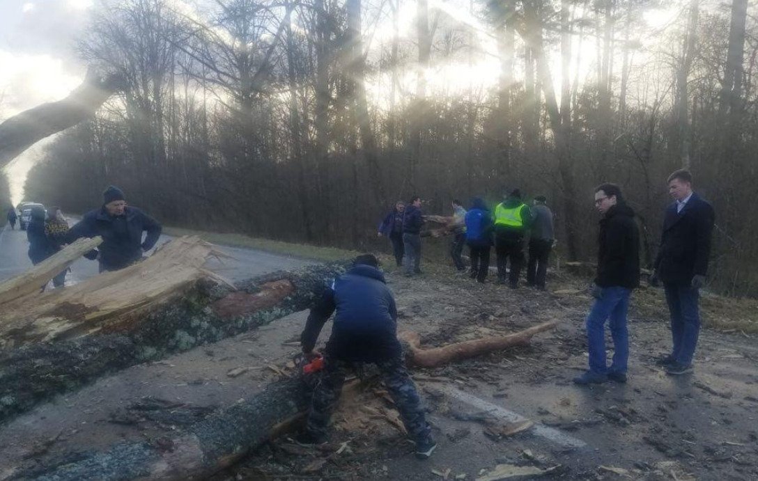 У Чернігівській області вітер повалив дерева та заблокував трасу 1
