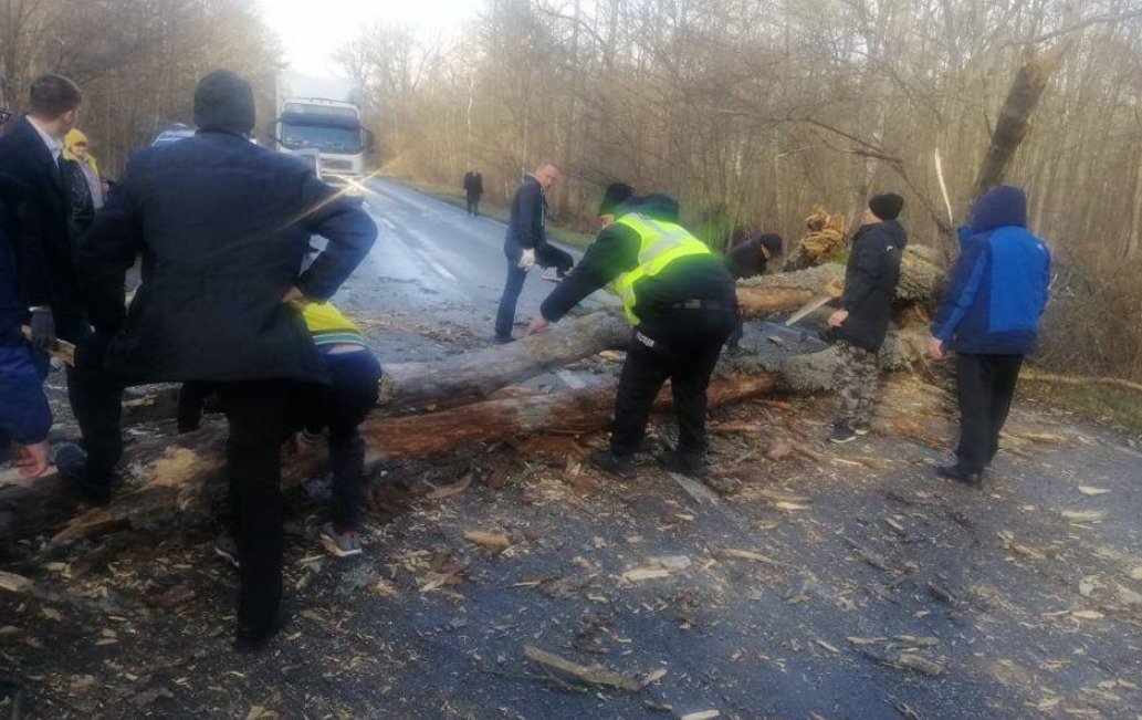 У Чернігівській області вітер повалив дерева та заблокував трасу 2