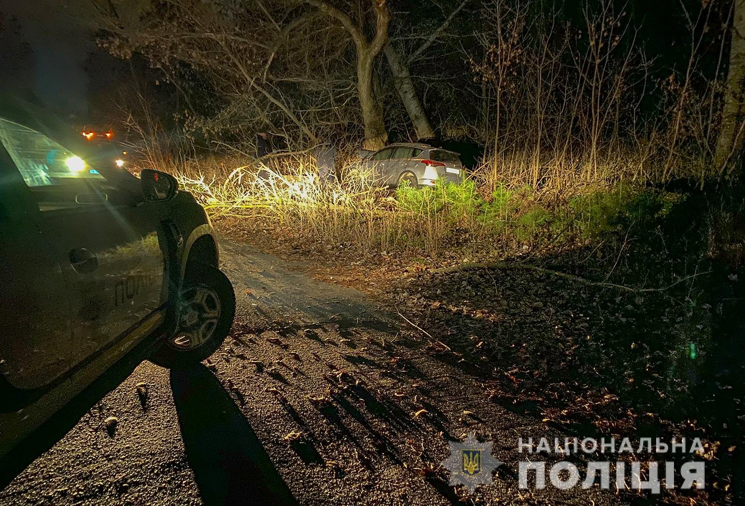 В Полтавской области 17-летняя девушка за рулём Toyota врезалась в дерево: она и три её друга в больнице 1