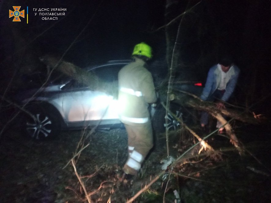 В Полтавской области 17-летняя девушка за рулём Toyota врезалась в дерево: она и три её друга в больнице 2