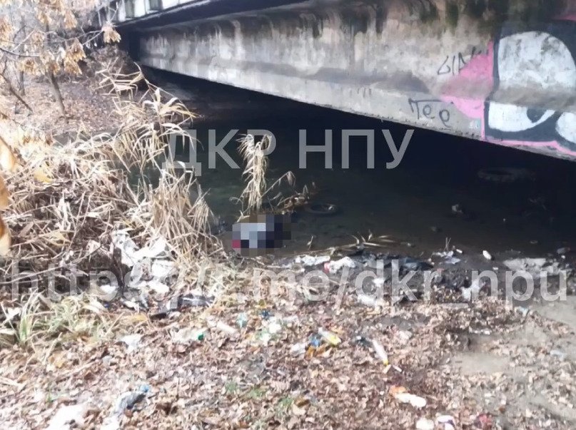 В Харьковской области мужчина убил собутыльника и бросил тело под мостом 1