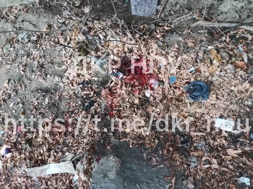 В Харьковской области мужчина убил собутыльника и бросил тело под мостом 2