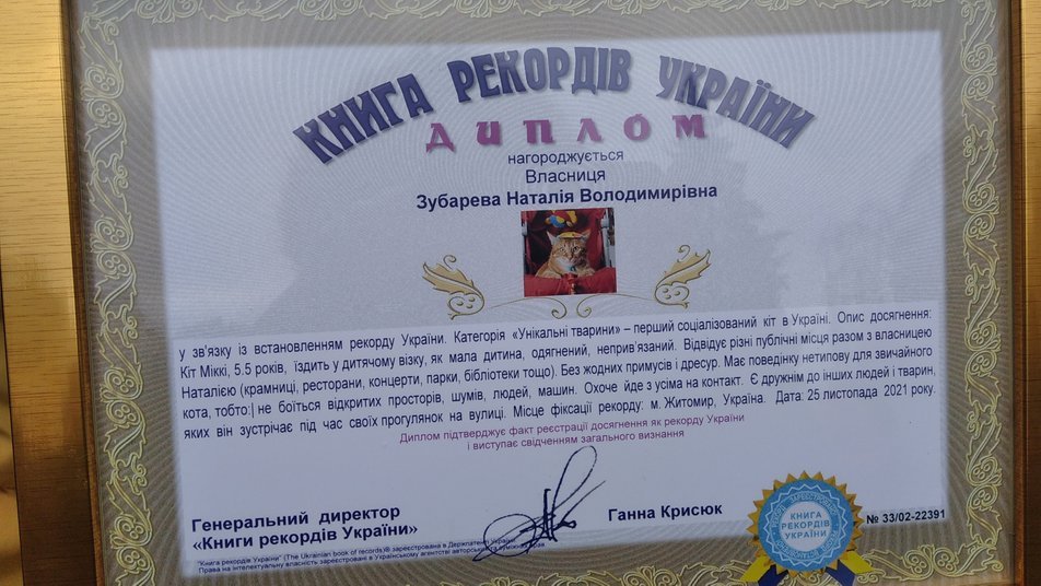 В Украине кот Микки установил национальный рекорд: он выходит гулять в детской коляске 3