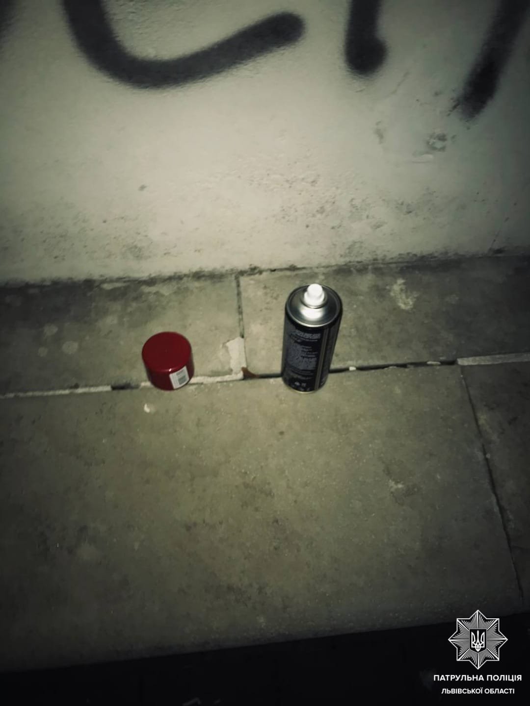 Во Львове двое мужчин из Донецкой области разрисовали мемориал на польском военном кладбище 3