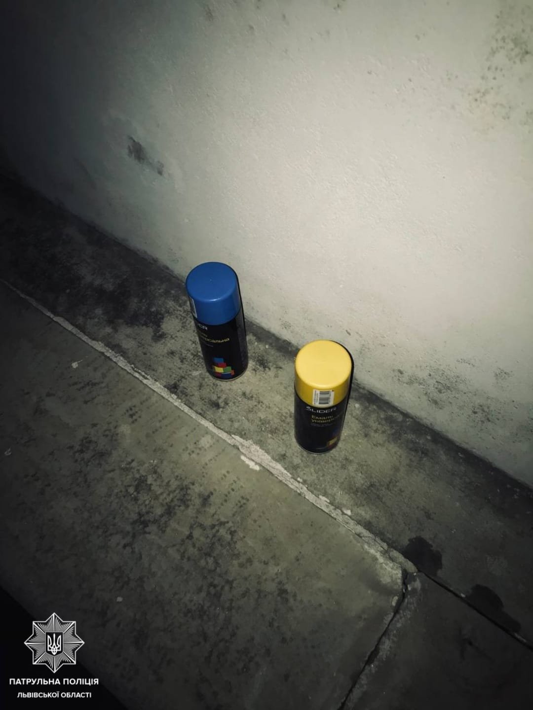 Во Львове двое мужчин из Донецкой области разрисовали мемориал на польском военном кладбище 4