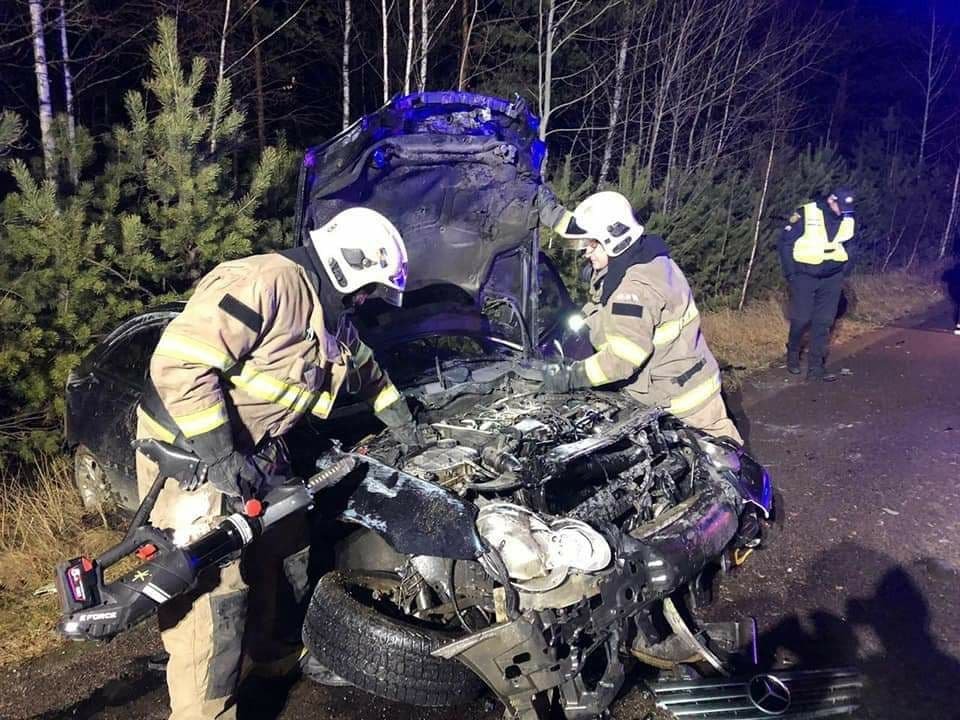 В Ровенской области лось стал виновником ДТП: столкнулись две машины, животное погибло 1