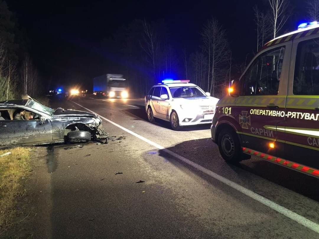 В Ровенской области лось стал виновником ДТП: столкнулись две машины, животное погибло 3