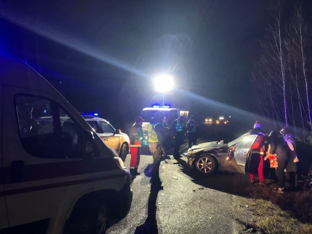 В Ровенской области лось стал виновником ДТП: столкнулись две машины, животное погибло 2