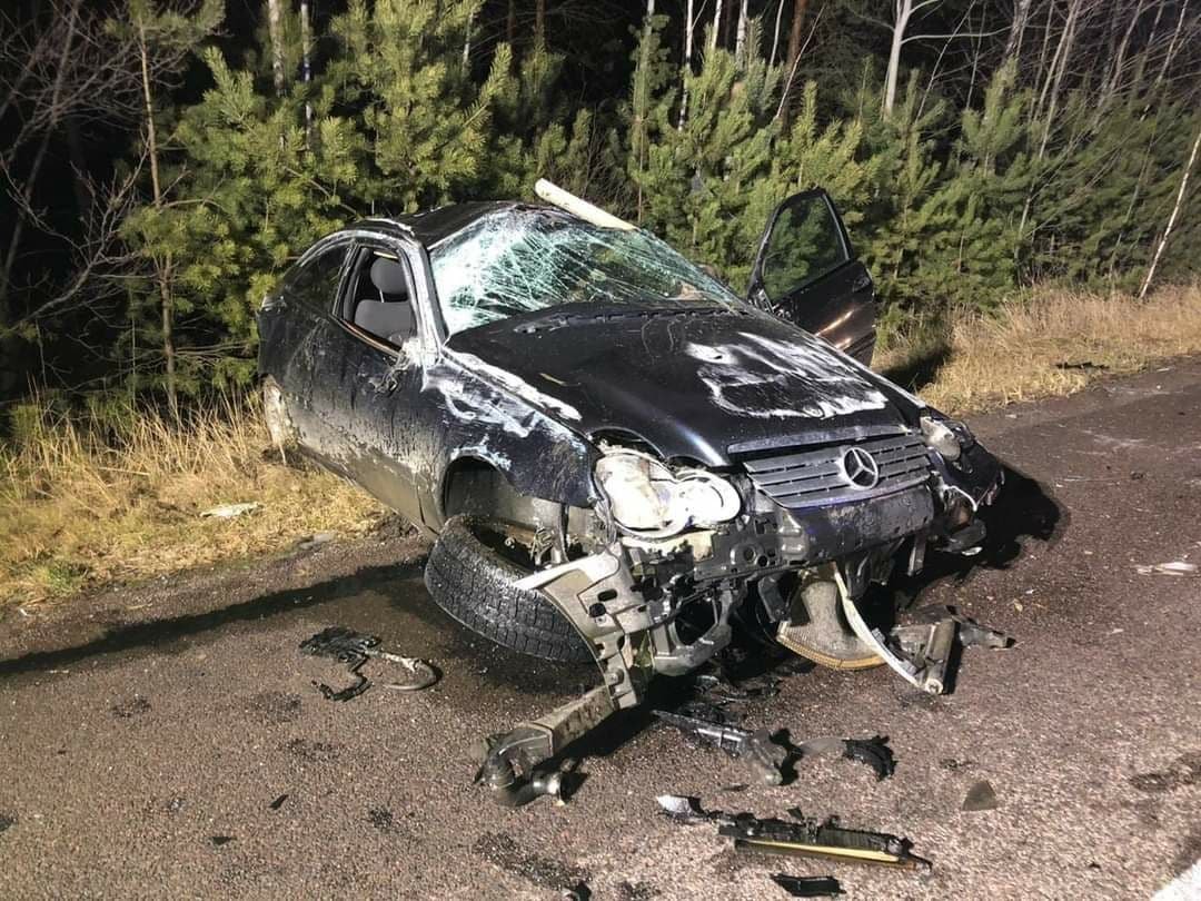 В Ровенской области лось стал виновником ДТП: столкнулись две машины, животное погибло 4