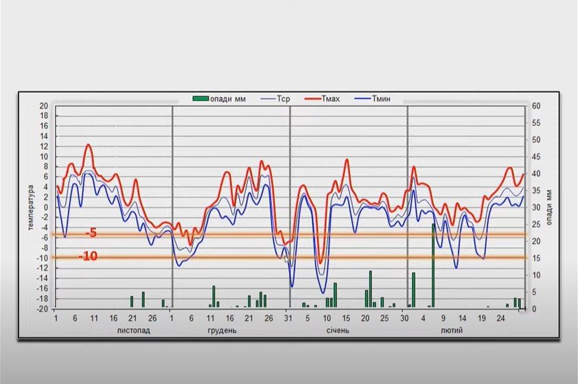 Какой будет погода на Новый год: прогноз синоптиков 1