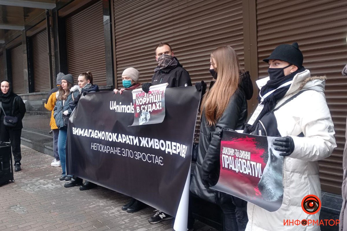 В Киеве оправдали догхантера Святогора: зоозащитники вышли на митинг и требуют справедливости 2