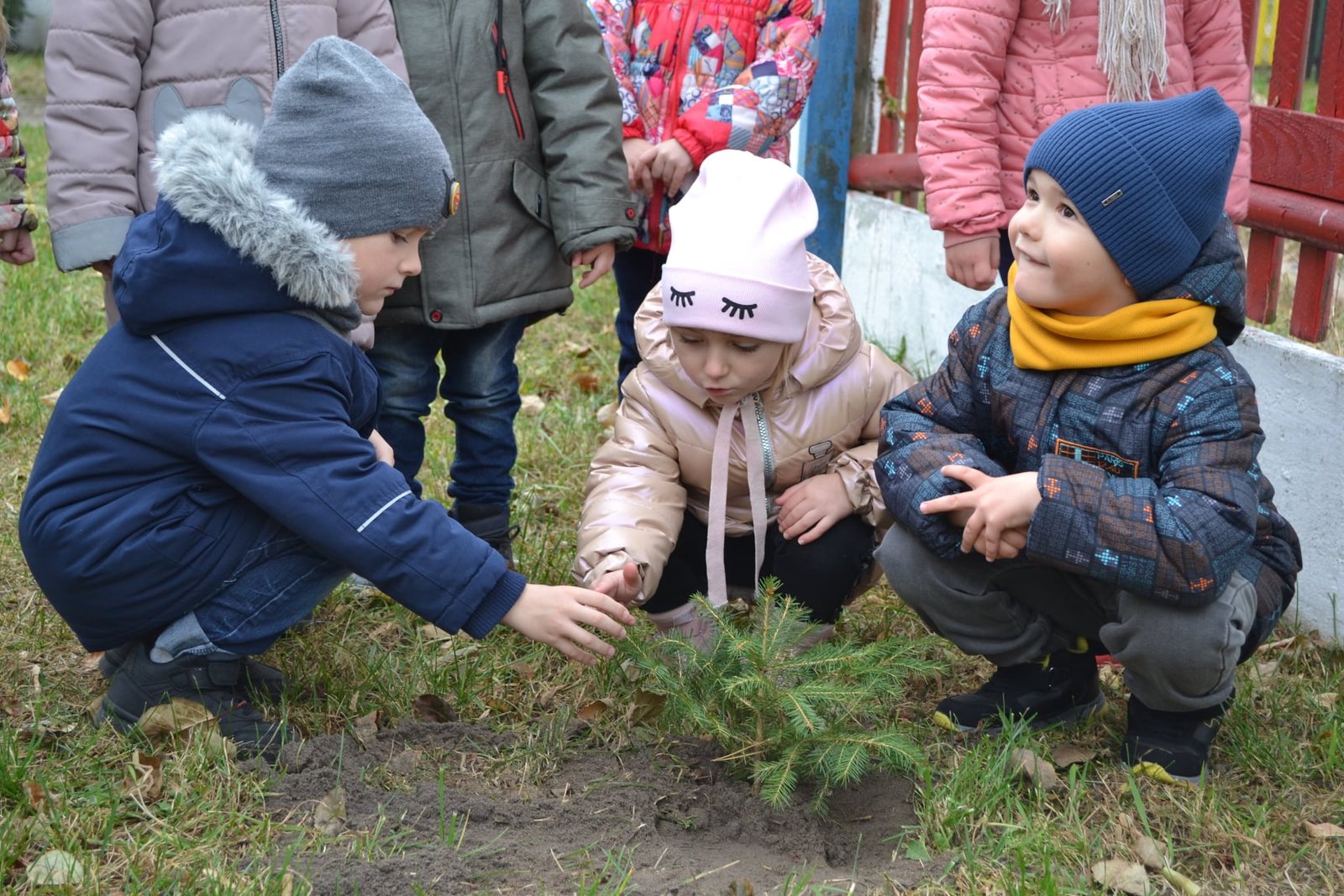 У національному парку Хмельницької області висадили 1600 дерев та кущів 6