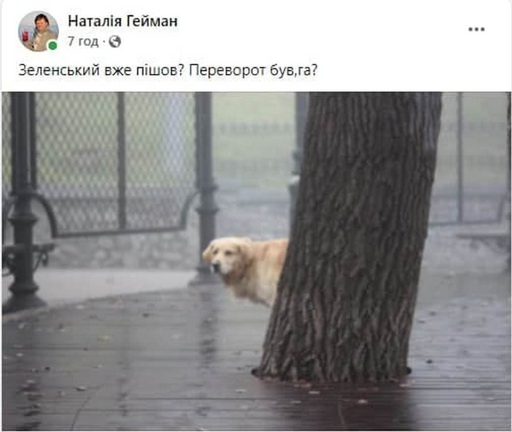 День государственного недопереворота в Украине: лучшие мемы 13