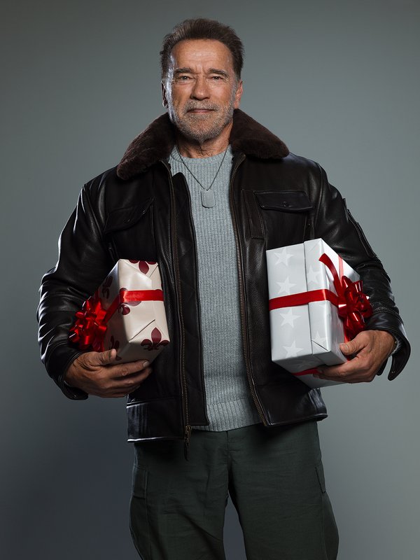 Железный Арни