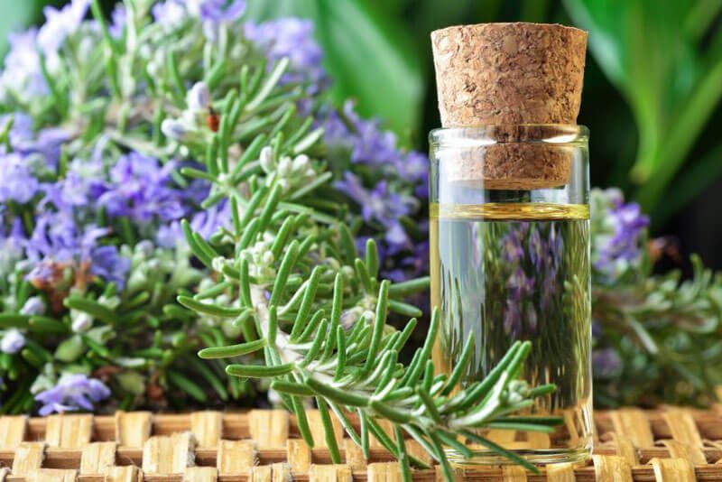 Maslo rozmarina Масло розмарина