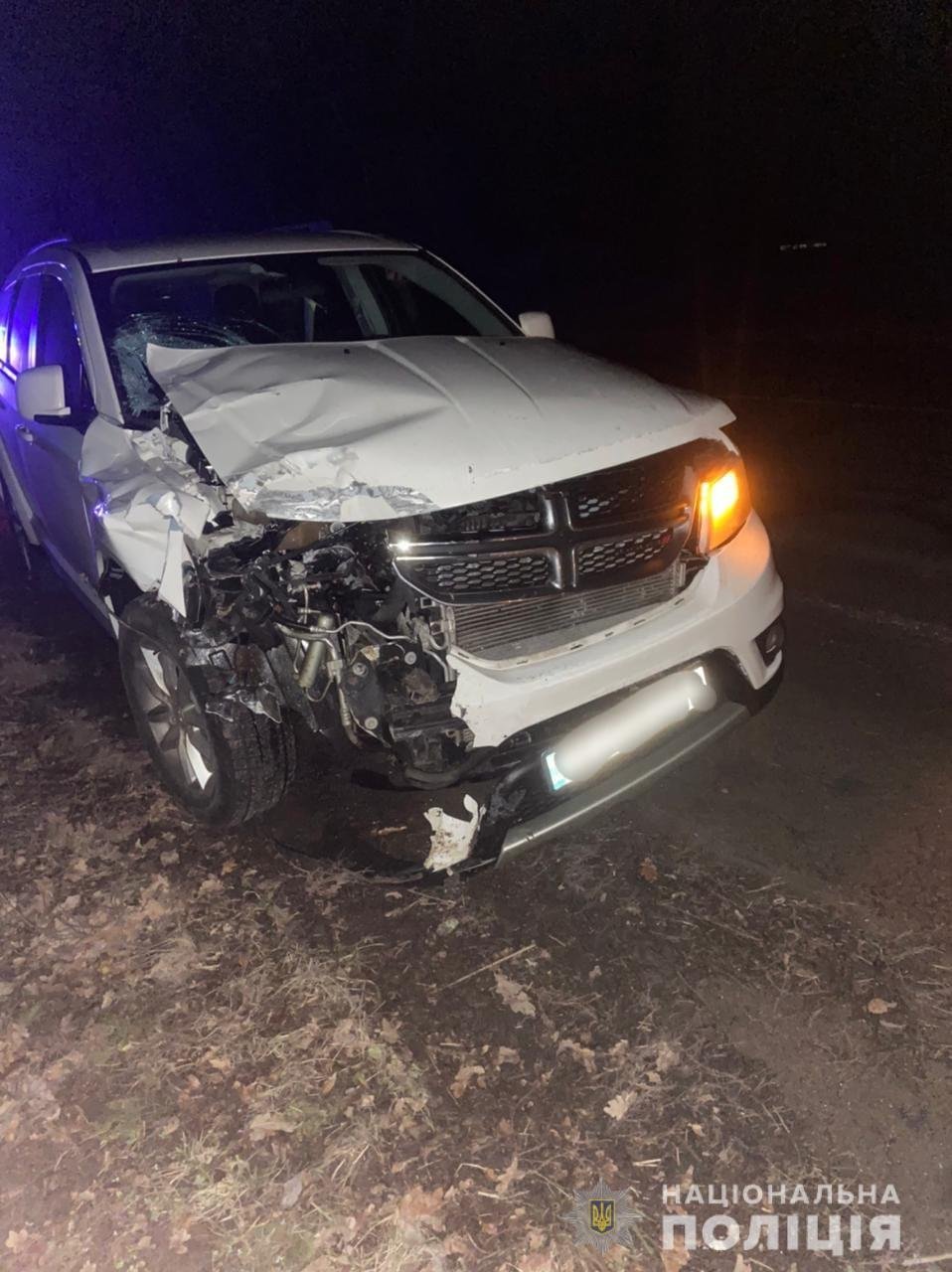 Під Києвом чоловік на Dodge збив мотоцикл Mustang: пасажир помер у "швидкій", другий постраждалий у лікарні 1