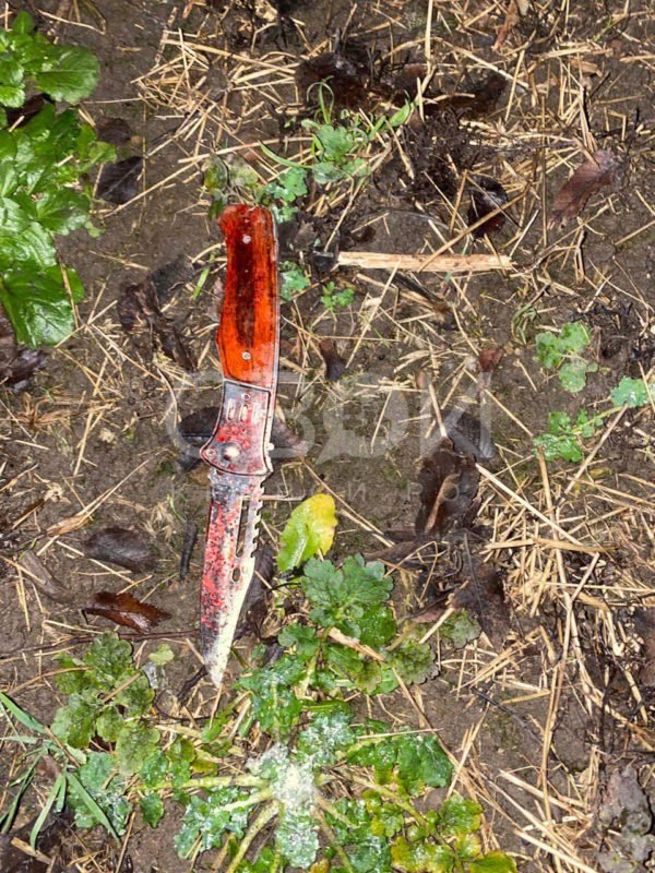 Нож был на месте Нож был на месте