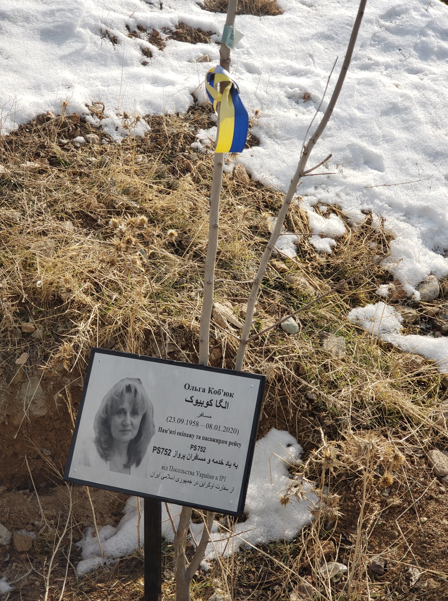 Україна висадила під Тегераном Алею вшанування жертв авіакатастрофи МАУ 13