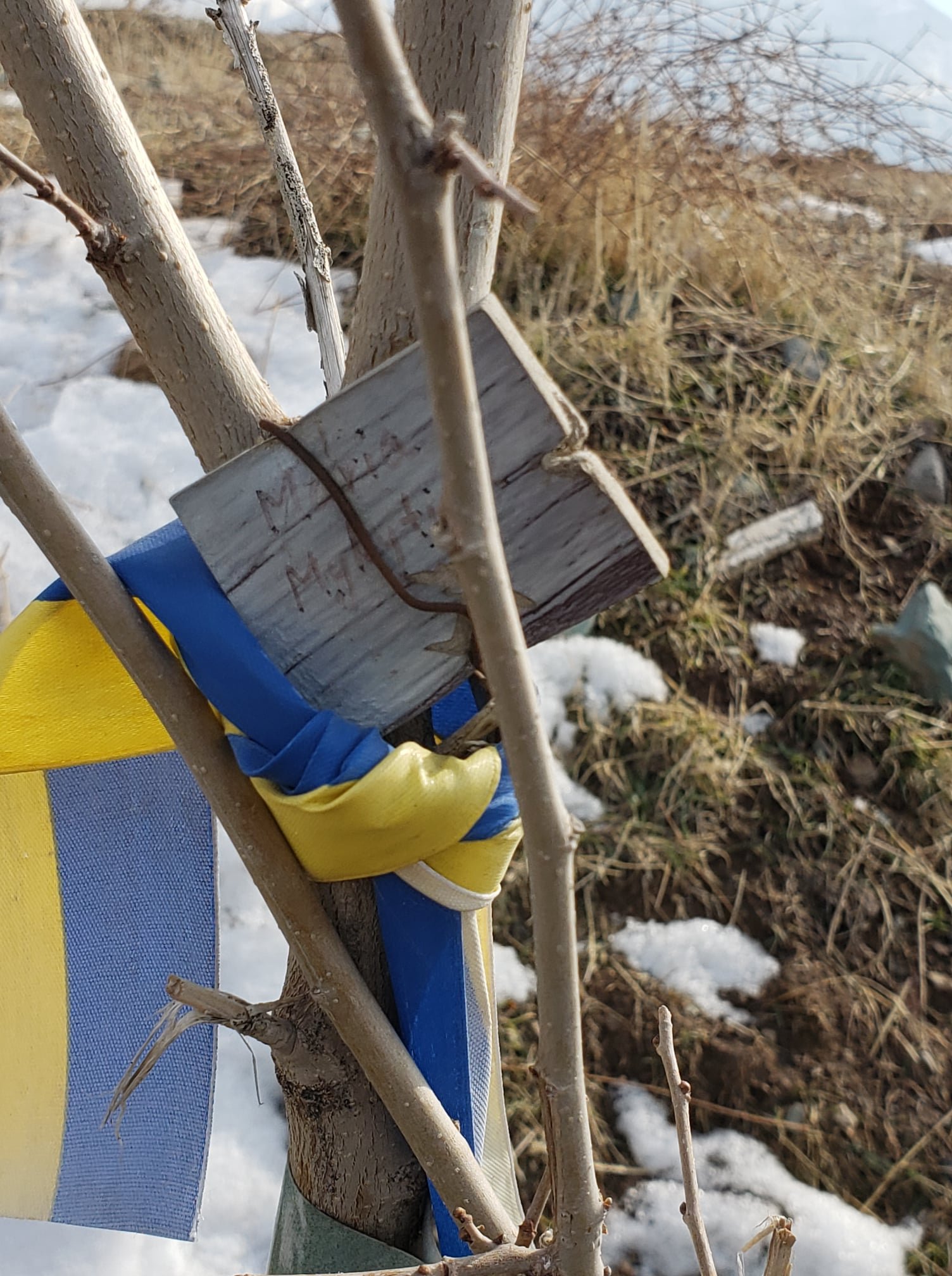Україна висадила під Тегераном Алею вшанування жертв авіакатастрофи МАУ 14