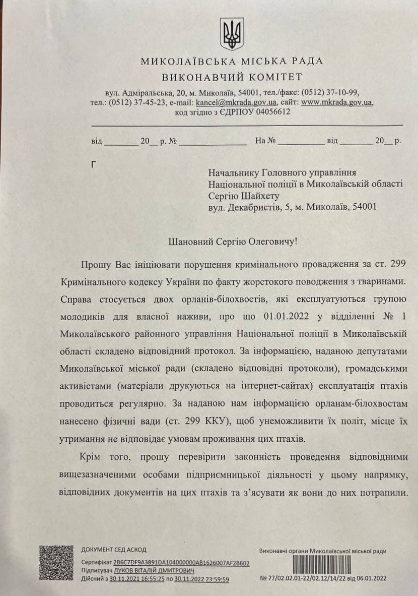 В Николаеве у парней отобрали двух орланов, с которыми они устраивали фотосессию: горсовет просит полицию открыть уголовное дело 3