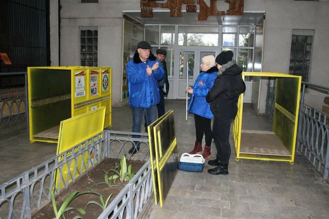 Трёх львов зоопарка Николаева отправили в Африку 3