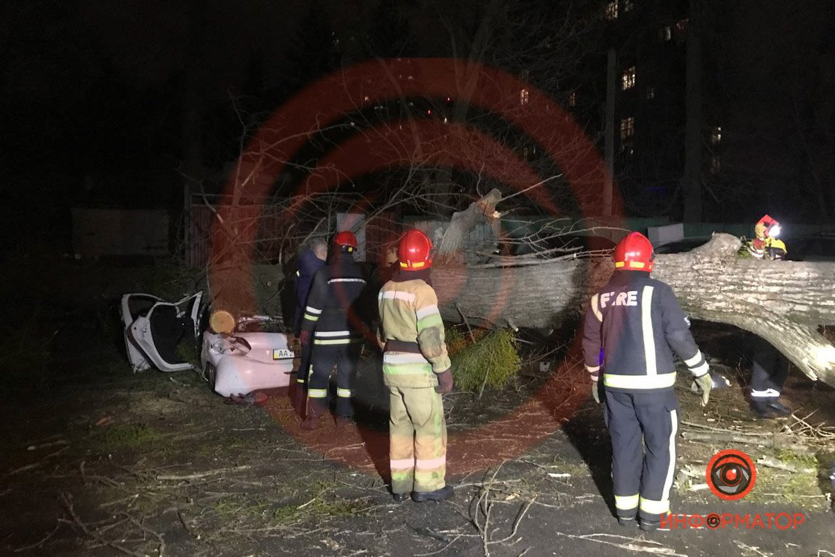 В Киеве из-за ветра дерево упало на Peugeot и раздавило мужчину: ещё один человек в больнице 1
