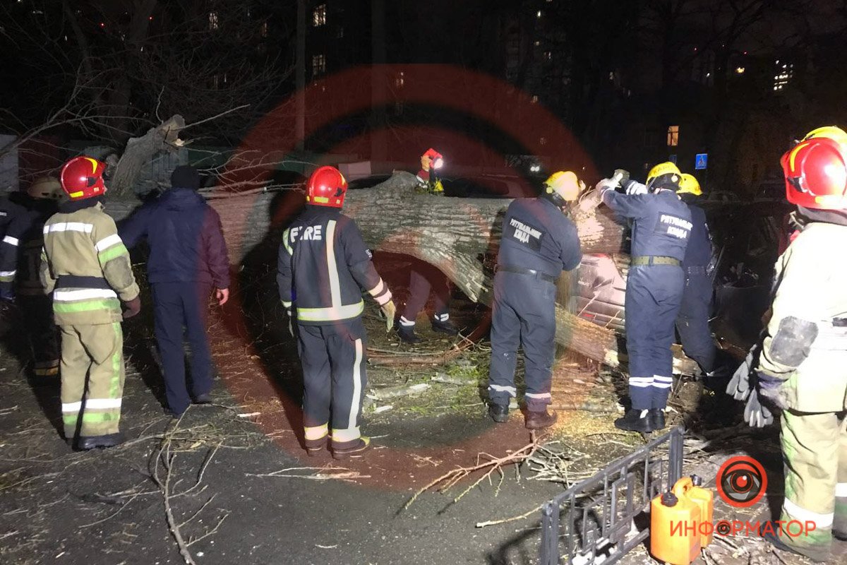 В Киеве из-за ветра дерево упало на Peugeot и раздавило мужчину: ещё один человек в больнице 2