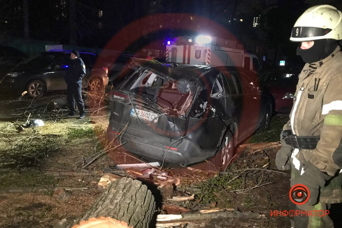 В Киеве из-за ветра дерево упало на Peugeot и раздавило мужчину: ещё один человек в больнице 3