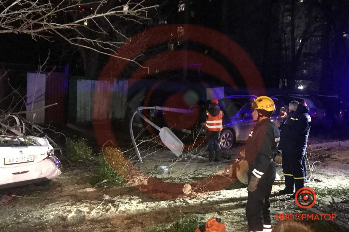 В Киеве из-за ветра дерево упало на Peugeot и раздавило мужчину: ещё один человек в больнице 4